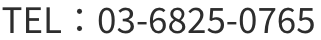 電話番号 03-5555-1234